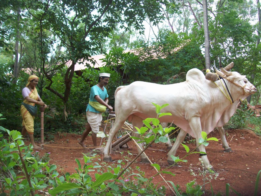 Typical village scene, featuring a farmers and bullocks